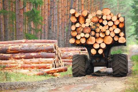 Sustainably Sourced Timber: A Win for the Environment and Your Construction Project