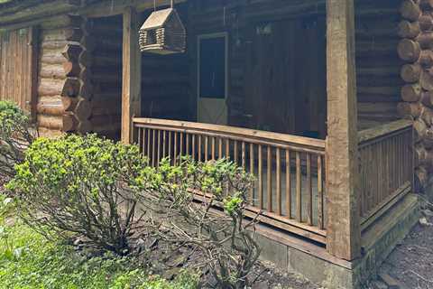 The Significance Of Log Cabin Stain For Log Home Flipping Projects In Milton, Pennsylvania