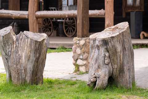 Why Stump Grinding Should Be Part Of Your Flipping Houses Checklist In Damascus, OR