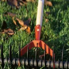 Maximizing Curb Appeal in Manchester: Lawn Irrigation Systems and Home Selling Tips