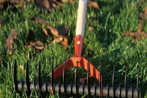 Maximizing Curb Appeal in Manchester: Lawn Irrigation Systems and Home Selling Tips